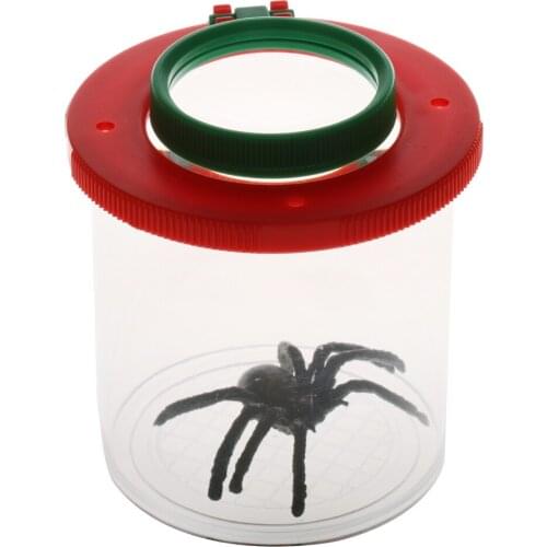 4X Power Bright Colors Insect Viewer Air Lid Box Magnifier Bug Magnifying Len