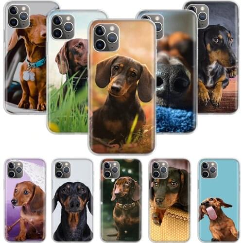 Dachshund Teckel Dackel Dog Case for Apple iphone 11 12 Mini Pro XS Max XR X 7 8 6 6S Plus 5 5S SE 10 Ten Gift Silicone Phone Co