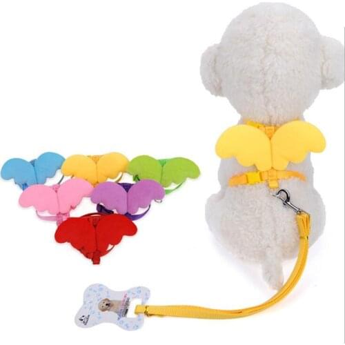 Cute Angel Pet Dog Leashes and Collars Set Puppy Leads for Small Dogs Cats Designer Wing Adjustable Dog Harness Pet Accessories