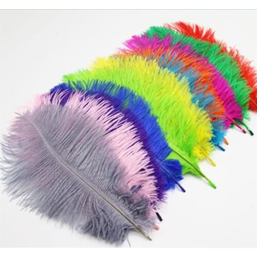 10pcs/lot New High Quality Fluffy Soft Ostrich Feather 25-30cm Pluma for Crafts DIY Needlework Feathers Dress Wedding Decoration