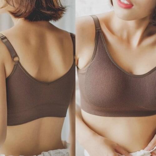 New Fashion Sports Bra 6 Colors Ladies Padded Push up Yog a Fitness Daily Wear Wire Free Bra Seamless Full Cup Solid Sports Top