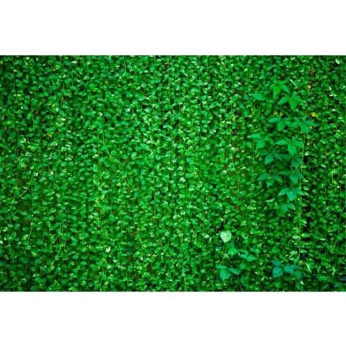 Green Background For Photography Green Rattan With Leaves Backdrop For Indoor And Outdoor Activities Photo Studio Booth Props