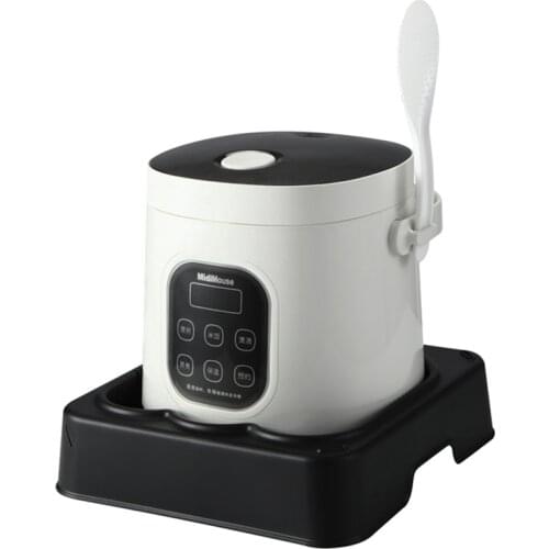 Portable rice cooker warmer fast heating lunch box 12v 24v2L car home dual-purpose truck rice cooker