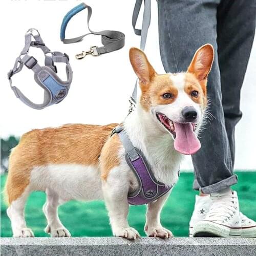 No Pull Sport Dog Harness and Leash Set Reflective Pet Harness for Small Medium Dogs Breathable Protective Dog Harness Vest Pug