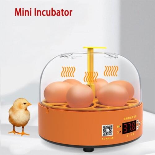 Mini 6 Egg Incubator Brooder Digital Hatching Egg-manual Automatic Gashapon Temperature Machine For Chicken Duck Bird Pigeon