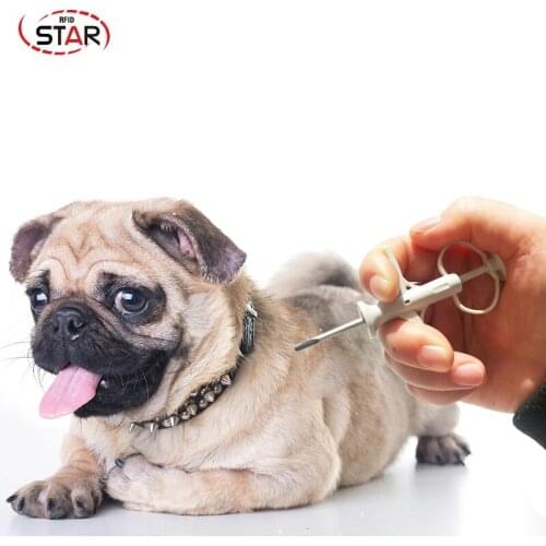 50pcs ISO FDX-B cat dog microchip animal syringe ID implant pet chip needle vet RFID injector PIT tag for aquaculture fish