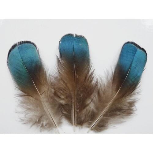 Decorative Feathers Sudu China