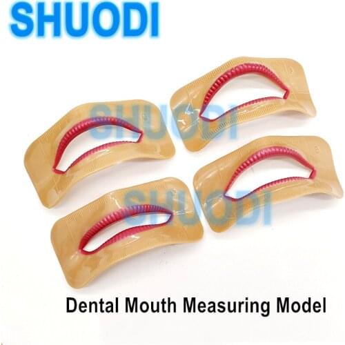 4 pcs Dental Lab Denture Laboratory Aesthetics Parts Mouth Measuring Lip Measurement Tool Lip Moldel Different Shape