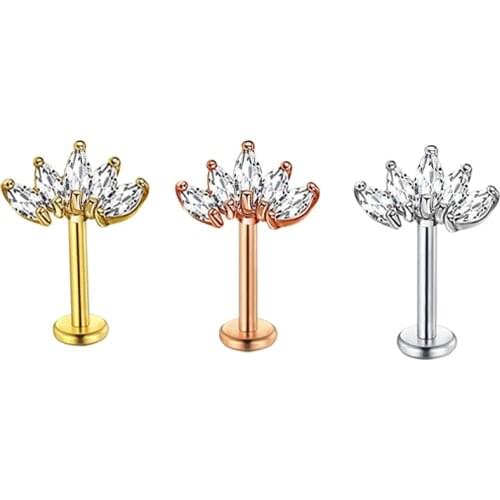 Fanpeijy 2pcs 16G Tragus Earrings Stud Cartilage Helix Surgical Steel Lip Rings Labret Studs Ear Piercing Body Jewelry For Women