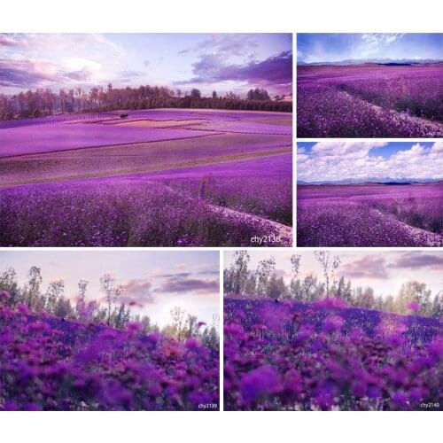 LEVOO Photographic Backdrop Spring Blooming Lavender Field Provence Photography Background For Photo Studio Photophone Wholesale