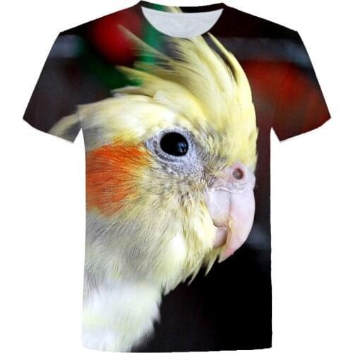 Feng Wang Bao T-shirts For Boys