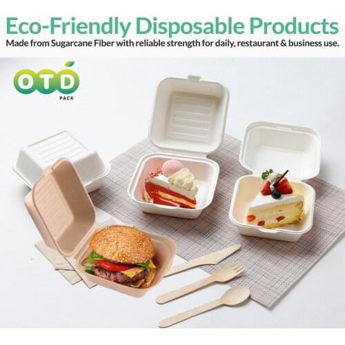 [6x6" 20-Pack]100% Natural Disposable Bagas Food Containers Clamshell to Go Boxes with Hinged Lids, Hamburg sushi cake takeout