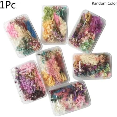 1 Box Real Mix Dried Flowers for Resin Jewellery Dry Plants Pressed Flowers DIY 24BE