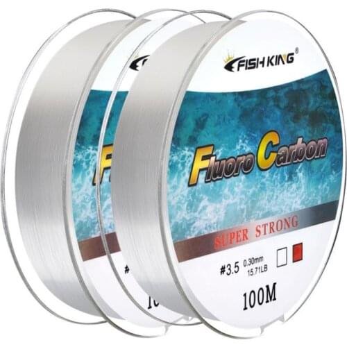 100M Wearable Fluorocarbon Fishing Line 0.14mm-0.50mm Carbon Fiber Leader Line fly fishing line pesca Fishing Tackle