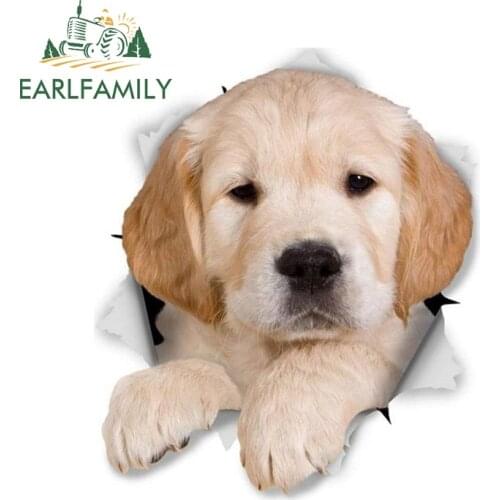 EARLFAMILY 13cm x 11.1cm 3D Golden Retriever Pup Decal for Luggage Skateboard Motorcycle Laptop Waterproof Wall Car Sticker
