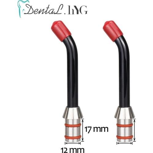 2pcs 17mm*12mm Dental Curing Light Tip Guide Optical Fiber Guide Rod Tips For Dental LED Curing Light Lamp
