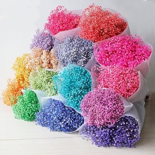 Immortal Natural Dried Flower Gypsophila Paniculata For Holiday Party DIY/Wedding/Home Decoration/Christmas /Valentines Day