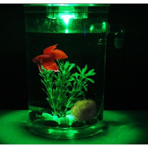 Desktop Aquarium LED Fish Tank Decor Aquatic Plants Stones Fishing Tank