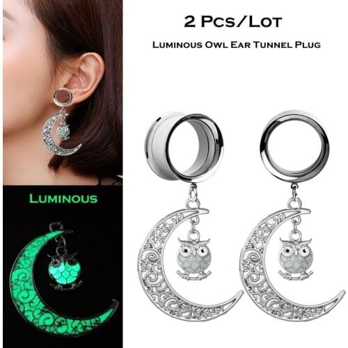 2PCS Stainless Steel Tunnel Ear Plug Ear Gauge Luminous Owl Pendientes Reamer Earring Jewelry Ear Piercing Expansores Oreja 4-25