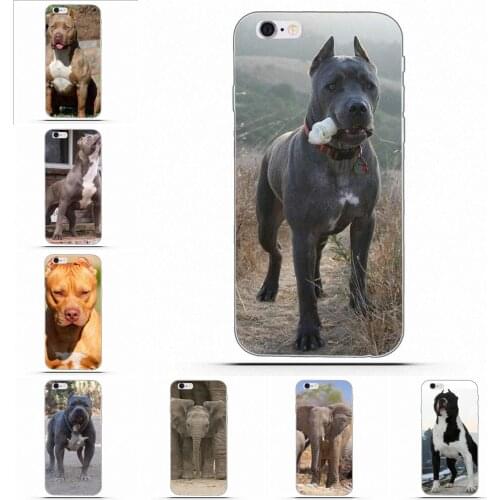 The Blue Big Ear Protection Lovely For Moto G G2 G3 For HTC Desire 530 626 628 630 816 820 One A9 M7 M8 M9 M10 E9 Plus U11