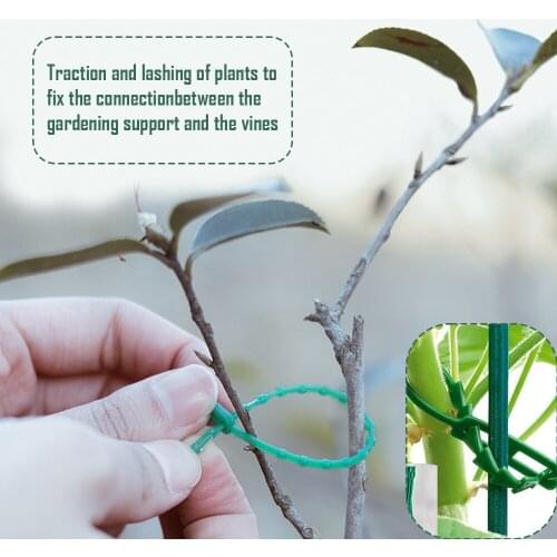 50Pcs Reusable Garden Strap Binding Horticultural Fish Bone Cable Multi Purpose trap For Garden Tree Climbing Support