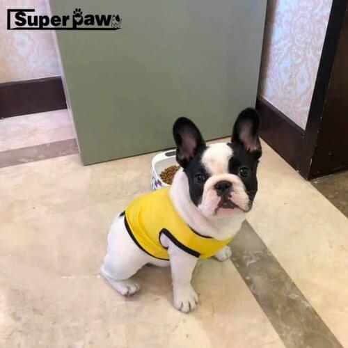 New Arrival Pet Dog Summer Cooling Vest Sweatshirt Jersey Clothes For Small Medium Large Dogs French Bulldog Schnauzer WSC19