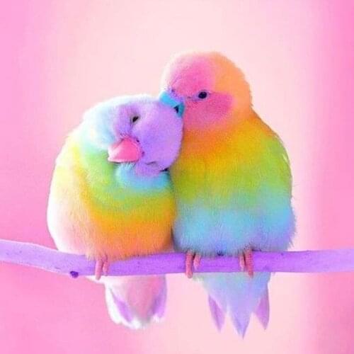 Diamond Painting Parrot Full Drill Round Diamond Embroidery Picture Rhinestone Diamond Mosaic Cartoon Home Decor