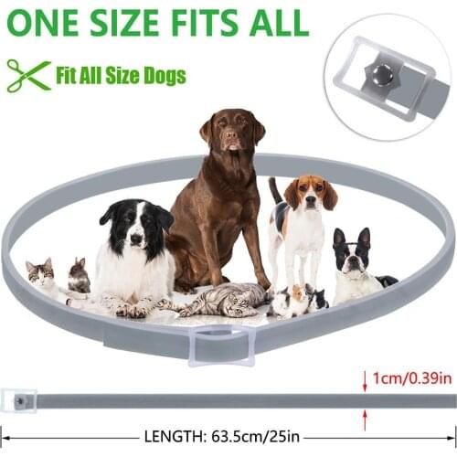 Dog Collar Flea Mosquitoes Repellent Collar Insect Control Collar For Pet Dogs Cats Anti Flea Ticks Lice Prevents 15