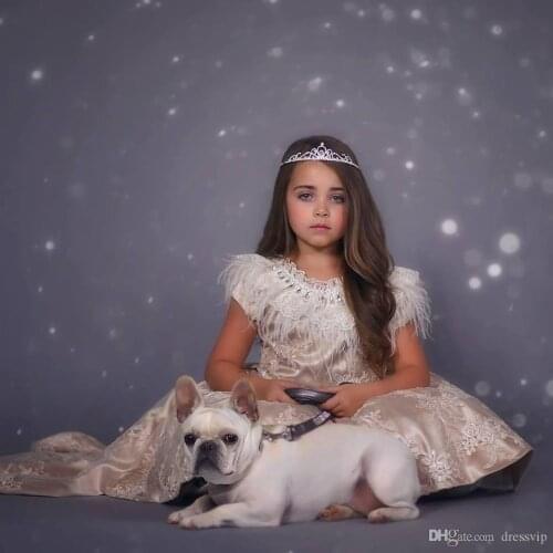 2021 High Low Flower Girl Dresses Jewel Neck Feather Boho First Communion Gowns For Little Girl Short Sleeves A-Line Girls Pagea