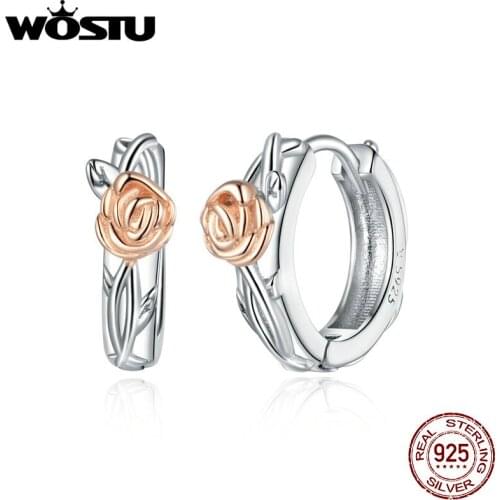 WOSTU Fashion 925 Sterling Silver Clear CZ Forever Circle Earrings Rose Vine Stud Earrings for Women Earrings 2020 BKE971