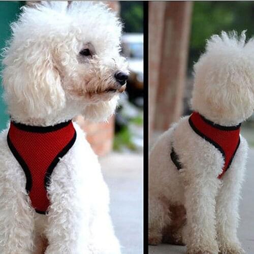 Small Dog Pet Harness Adjustable Dog Harness Collar Safety Strap Mesh Vest For Dog Leash Puppy Cat Collar For Small Dog Supplies