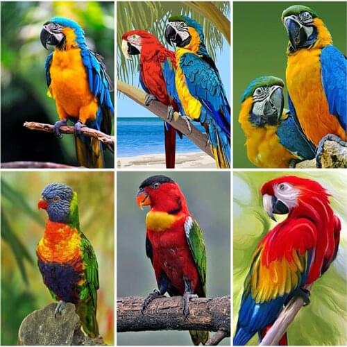 DIY Parrot 5D Diamond Painting Full Square Drill Bird Diamond Embroidery Cross Stitch Mosaic Kits Wall Art Handmade Gift
