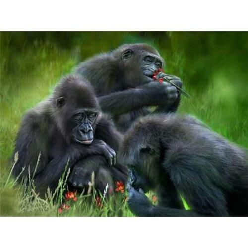 Diamond Embroidery black Ape Apes Orangutan Chimpanzee Monkey Diamond Painting Needlework Cross Stitch Home Decoration M6093R