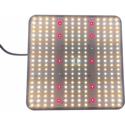 BROAD RISE LED Plant Lamps