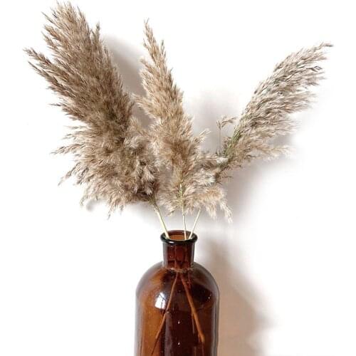 Natural Dried Pampas Grass Reeds Plants Bunch Small DIY Craft Wedding Party Bouquet Home Decoration Supplies Photography Props