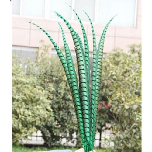 Wholesale 50 pcs green rare golden pheasant tail feather 36-40 inches / 90-100 cm show party decoration