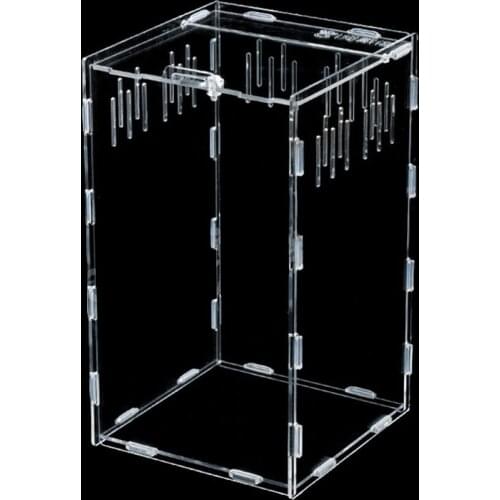 Transparent Reptile Breeding Box Acrylic Feeding Box Pet Climbing Terrarium Carrier for Pet Spiders Scorpions Mantis