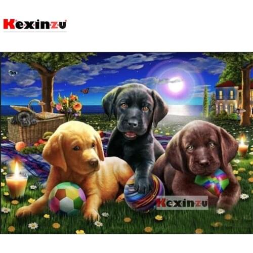 KEXINZU Full Square Round Drill 5d DIY Diamond Painting Pet dog football Embroidery Cross Stitch 5D Home Decor Gift K41544