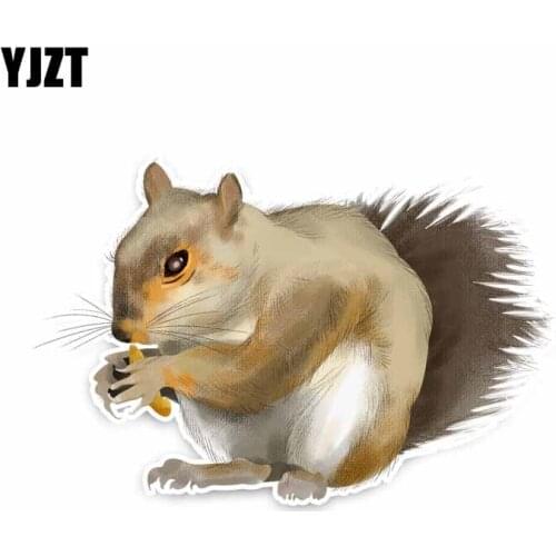 YJZT 10.1CM*15.5CM Cute Grey Squirrel PVC Animal Car Sticker Decal C29-0475