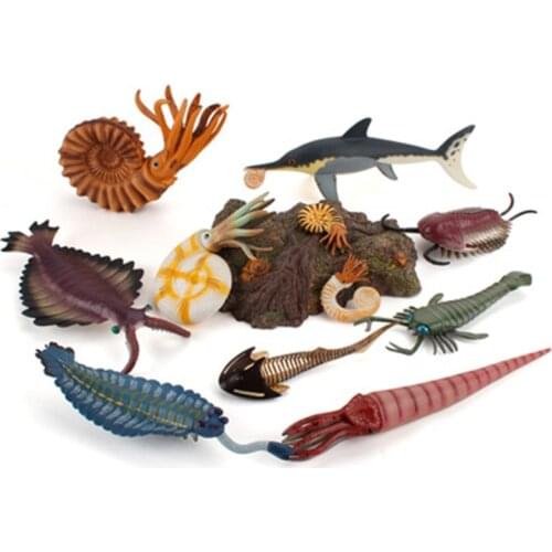 Simulation Ancient Fossil Marine Life Conch Shrimp Fish Dragon Turtle Toy Figures Educational Toy for Children Toy Figure Gifts