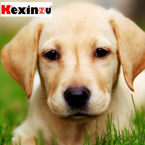 Kexinzu Full Square Diamond 5D DIY Diamond Painting"Animal Dog"3D Embroidery Cross Stitch Rhinestone Mosaic Home Decor Gift D106