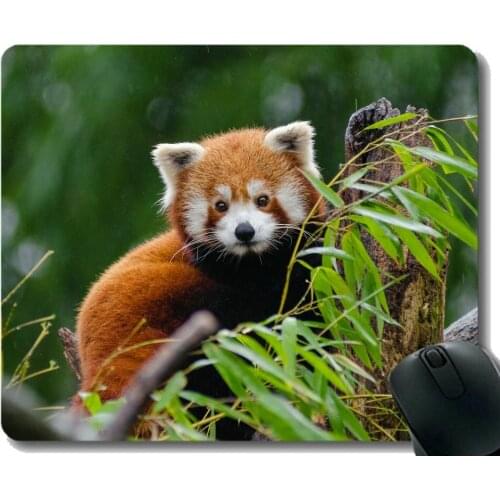 Mouse Pad with Stitched Edge,set Little panda ,Mouse Mat,Non-Slip Rubber Base Mousepad for Laptop,Computer