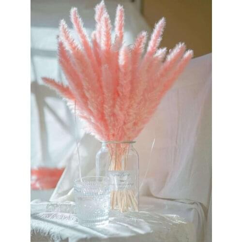 10 Pcs Natural Dried Flowers Bouquet Pink Reed Wheat Ears Setaria Dried Flowers Living Room Decoration Home Wedding Room Decor