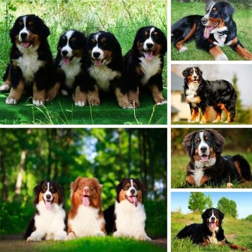 5D DIY Diamond Painting Animal Dog Rhinestone Cross Stitch Picture Kit Full Diamond Embroidery Beaded Mosaic Decoration Gift