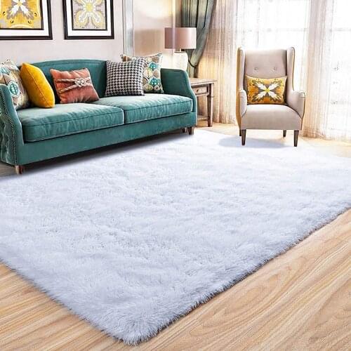 Fluffy Area Rugs for Living Room Fuzzy Shaggy Accent Carpet Nursery Rugs Home Decor Non-Slip Carpet Super Soft Indoor Modern Rug