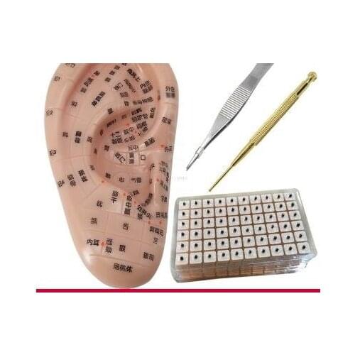 Auricular acupuncture model large auricular acupuncture model 40cm auricular acupuncture point small ear 13cm auricular acupunct