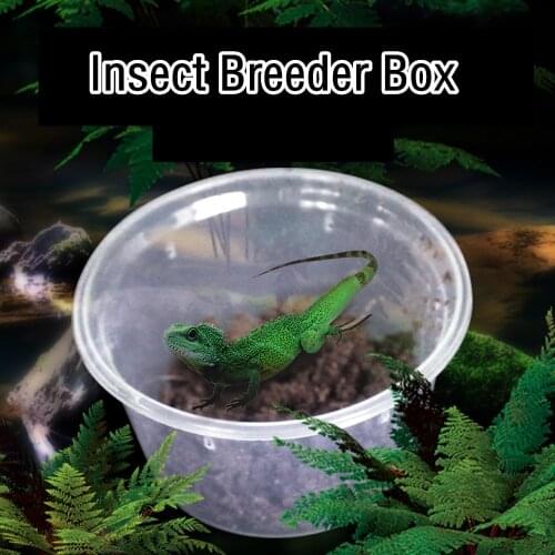 100Pcs Round Feeding Box Transparent Reptile Cage Hatching Container for Spider Lizard Frog Cricket Turtle Crab Snack