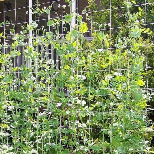 Polyester Net Loofah Netting For Morning Glory Vine Flowers Garden Plants Climbing Net Cucumber Vine Grow Holder