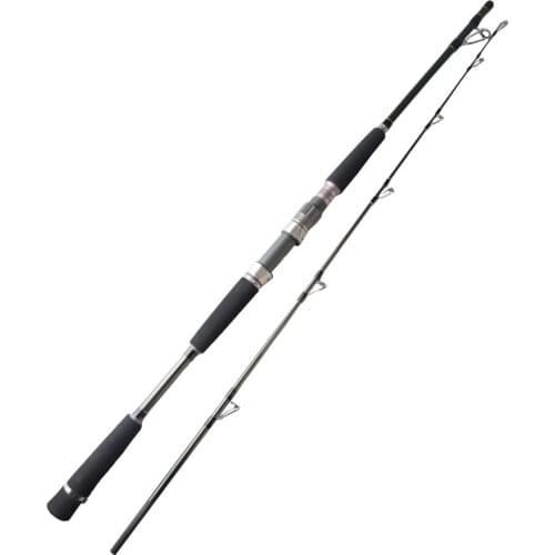 1.65m 1.8m Sea Boat Jigging Fishing Rod Lure Spinning Rod Casting Carbon Fiber Saltwater Fishing