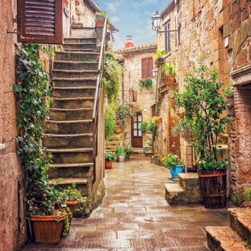 Laeacco Old Town Brick House Potted Flowers Vine Alley Scenic Photography Backdrop Photographic Background For Photo Studio